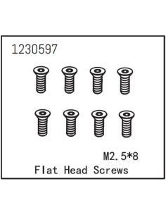 Flat Head Screw M2.5x8