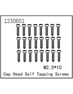 Self-tapping Cap Screw M2.5x12