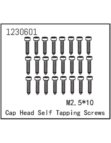 Self-tapping Cap Screw M2.5x12