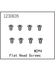 Flat Head Screw M2x4