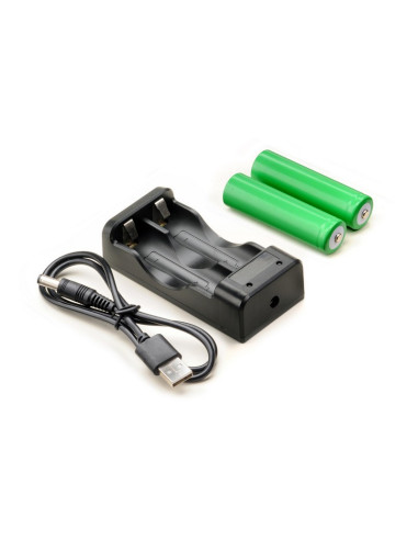 1:14 Sand Buggy CHARGER 4WD RTR