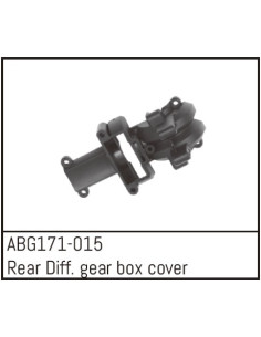 Rear Differential gear box...