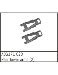 Rear Lower Arms