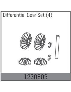 Differential Gear Set
