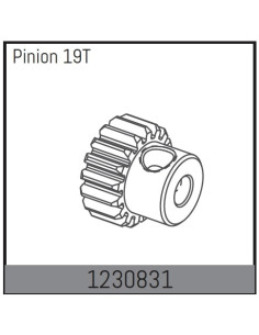 Motor Pinion 19T