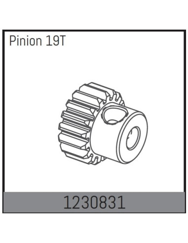 Motor Pinion 19T