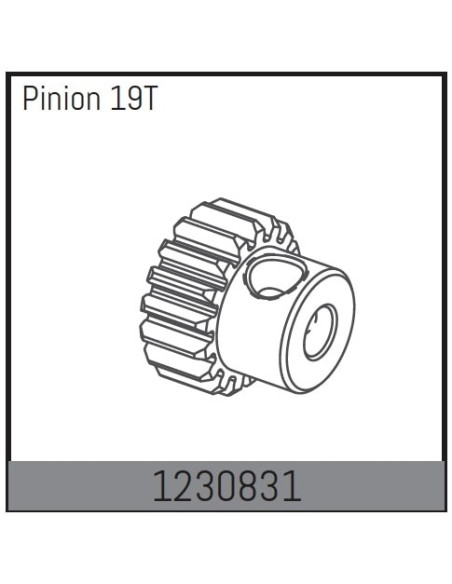 Motor Pinion 19T