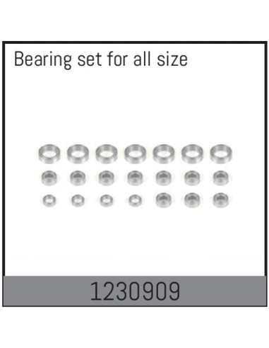 Complete Bearing Set