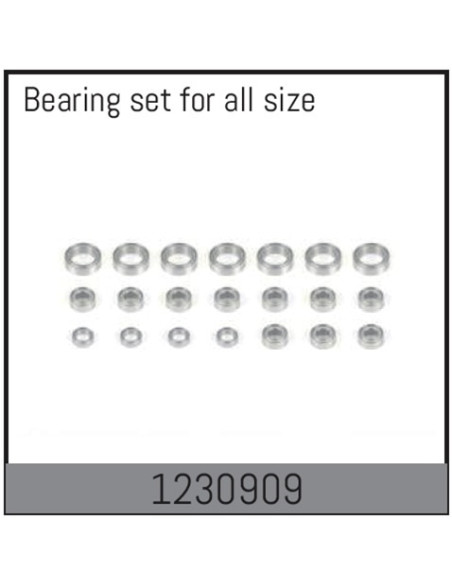 Complete Bearing Set