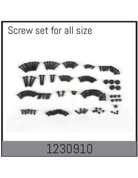 Complete Screw Set