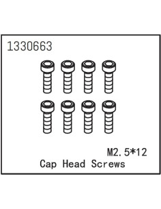 Cap Head Screws M2.5x12