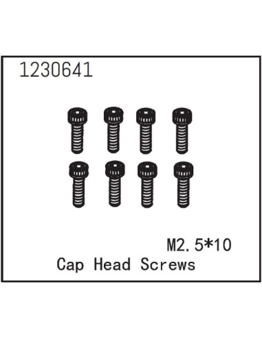 Cap Head Screws M2.5*10