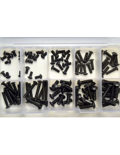Roundhead Screw Box
