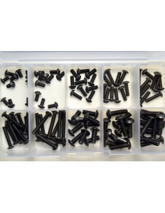 Roundhead Screw Box 2