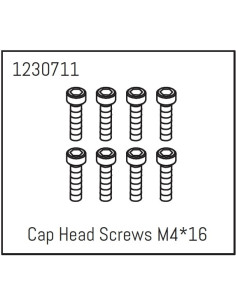 Cap Head Screws M4*16