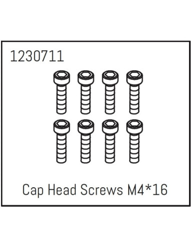 Cap Head Screws M4*16