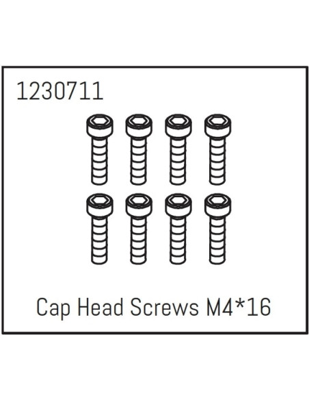Cap Head Screws M4*16