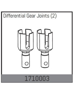 Differential Gear Joints