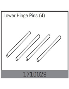 Lower Hinge Pins