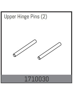 Upper Hinge Pins