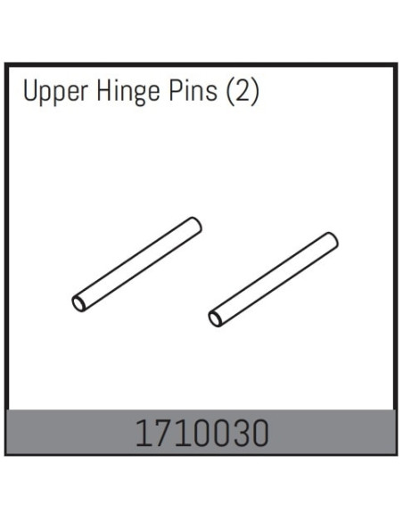 Upper Hinge Pins