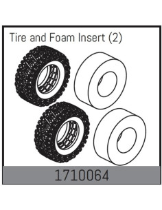 Tire and Foam Insert
