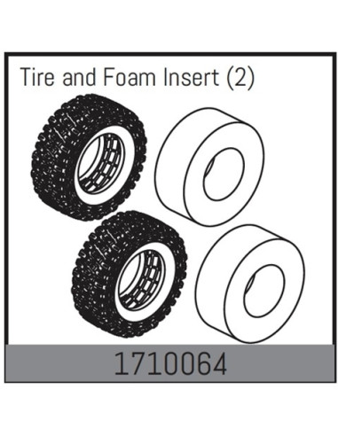 Tire and Foam Insert