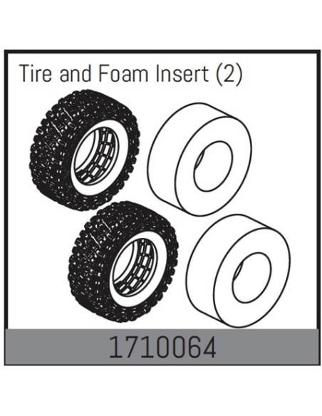 Tire and Foam Insert