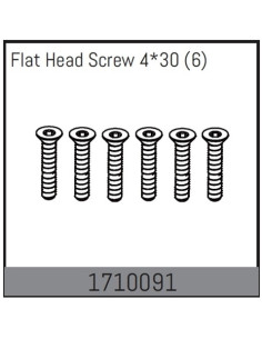 Flat Head Screw 4x30