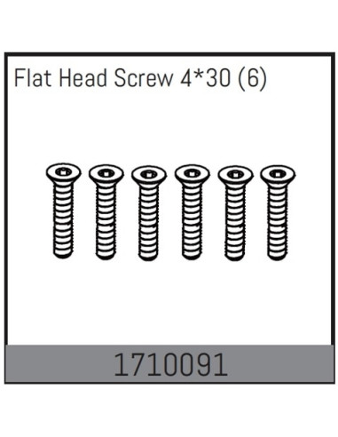 Flat Head Screw 4x30
