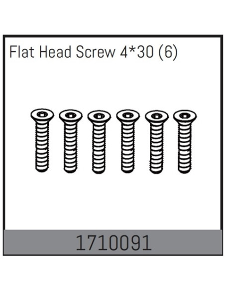 Flat Head Screw 4x30