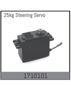 25kg Steering Servo