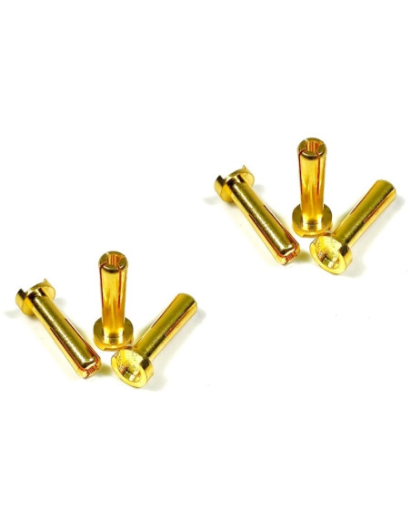 Bullet Plugs 4mm (6)