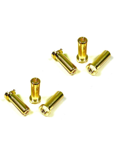 Bullet Plugs 5mm (6)