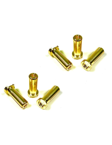 Bullet Plugs 5mm (6)