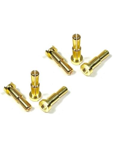 Bullet Plugs 4/5mm (6)