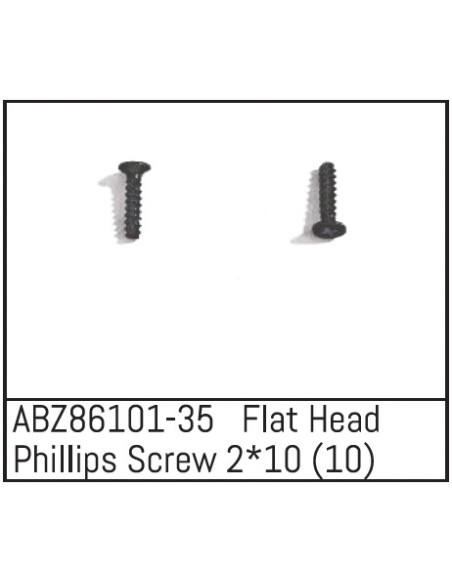 Flat Head Phillips Screw 2x10 - Mini AMT 10