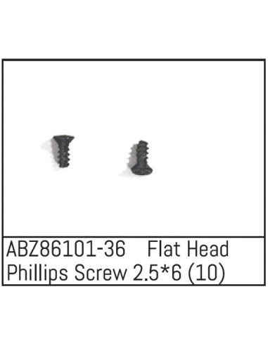 Flat Head Phillips Screw 2.5x6 - Mini AMT 10