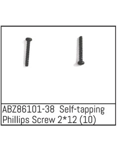 Self-tapping Phillips Screw...