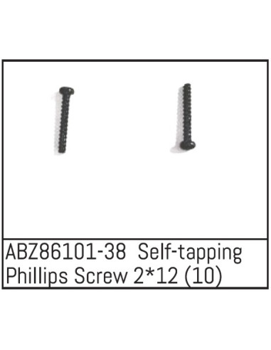 Self-tapping Phillips Screw 2x12 - Mini AMT 10