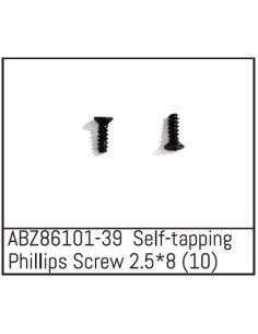 Self-tapping Phillips Screw...