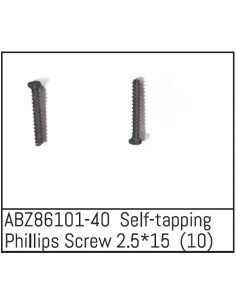 Self-tapping Phillips Screw...