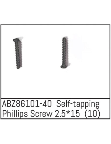 Self-tapping Phillips Screw 2.5x15 - Mini AMT 10