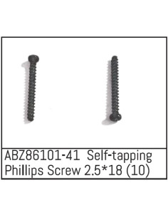 Self-tapping Phillips Screw...