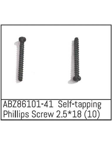 Self-tapping Phillips Screw 2.5x18 - Mini AMT 10