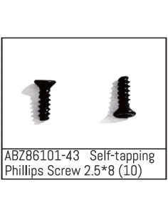 Self-tapping Phillips Screw...