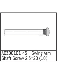 Swing Arm Shaft Screw...