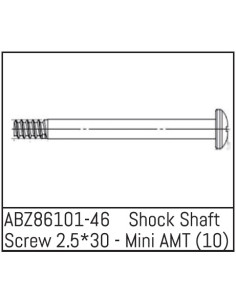 Shock Shaft Screw 2.5x30 -...