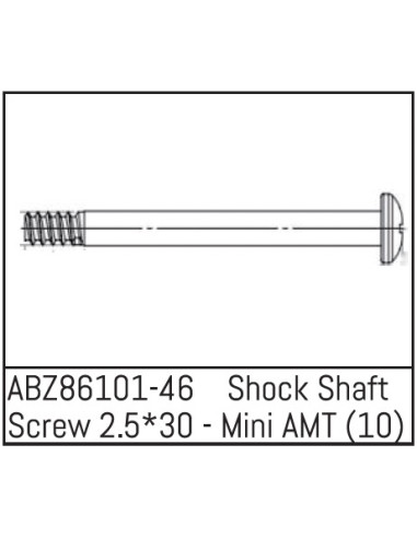 Shock Shaft Screw 2.5x30 - Mini AMT 10