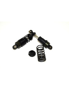 Shock absorber complete f/r...